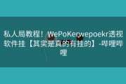 私人局教程！WePoKerwepoekr透视软件挂【其实是真的有挂的】-哔哩哔哩