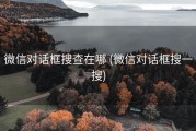微信对话框搜查在哪 (微信对话框搜一搜)