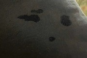 被私信辱骂、威胁且展品面临被毁，老二次元橘的委屈终爆发
