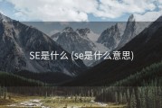 SE是什么 (se是什么意思)