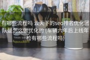 有哪些流程吗 云天下的seo排名优化团队是怎么做优化的 (车辆六年后上线年检有哪些流程吗)