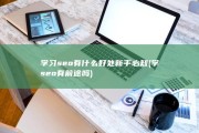 学习seo有什么好处 新手必知 (学seo有前途吗)