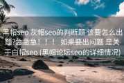 黑帽seo 灰帽seo的判断题 该要怎么出题?急急急！！！ 如果要出问题 是关于白帽seo (黑帽论坛seo的详细情况)