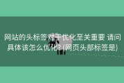 网站的头标签对于优化至关重要 请问具体该怎么优化? (网页头部标签是)