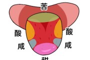 食性 声响 关于蜘蛛的作文200字外形 生活习气