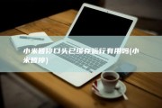 小米暂停口头已缓存运行有用吗 (小米 暂停)