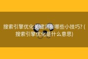 搜索引擎优化关键词有哪些小技巧? (搜索引擎优化是什么意思)