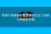 有哪几种搜索引擎营销的形式? (有哪几种搜索引擎)