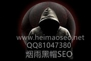 黑帽SEO的危害与防范：为何学习黑帽SEO技术对SEO团队至关重要