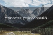 外贸seo公司 (外贸seo视频教程)