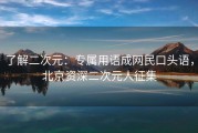 了解二次元：专属用语成网民口头语，北京资深二次元人征集