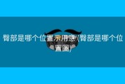 臀部是哪个位置示用意 (臀部是哪个位置图)