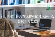 seo黑帽手段现在比较火的技术是什么 (seo黑帽教程)