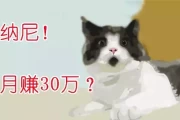 网站+SEO+合作工厂=开启创业之路？