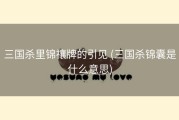 三国杀里锦禳牌的引见 (三国杀锦囊是什么意思)