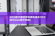 SEO新手要求掌握哪些基本SEO技巧 (seo新手教程)