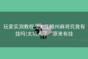 玩家实测教程“大江赣州麻将究竟有挂吗!太坑人了“原来有挂