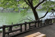 东京吉祥寺旁公园依旧宁静松弛，文末含7000多字文章彩蛋