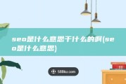 seo是什么意思 干什么的啊 (seo是什么意思)