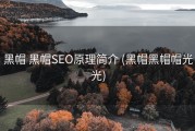 黑帽 黑帽SEO原理简介 (黑帽黑帽帽光光)