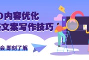 网站seo文章该怎样写 (网站SEO文章双标题生成工具)