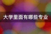 有哪些专业SEO优化工具 求处置！ 区分是什么呢 (有哪些专业适合女生)