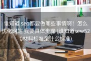 谁知道 seo都要做哪些事情啊！怎么优化网站 我要具体步骤 (谁知道sew520材料标准是什么标准)