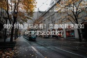 做外贸独立站必看！页面加载速度如何决定SEO成败？