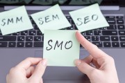 谁会做网站seo 谢谢 来个高手教一下 (谁会网站制作)