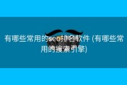有哪些常用的seo排名软件 (有哪些常用的搜索引擎)