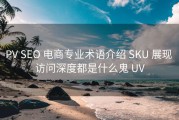 PV SEO 电商专业术语介绍 SKU 展现 访问深度都是什么鬼 UV