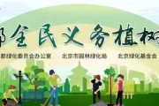 网站树立中如何做好过渡页 (树立网站整体形象的关键是)