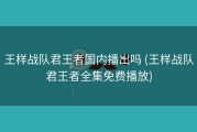 王样战队君王者国内播出吗 (王样战队君王者全集免费播放)
