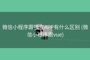 微信小程序跟独立APP有什么区别 (微信小程序跟vue)