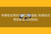 有哪些优秀的白帽SEO措施 (有哪些优秀的职业培训机构)