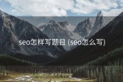 seo怎样写题目 (seo怎么写)