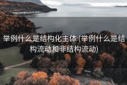 举例什么是结构化主体 (举例什么是结构流动和非结构流动)