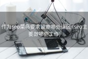 作为seo菜鸟要求留意哪些误区 (seo主要做哪些工作)
