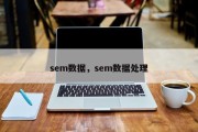 sem数据，sem数据处理