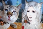 二次元文化盛行：拟人插画如何成为年轻人生活中的调味剂