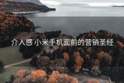 介入感 小米手机面前的营销圣经