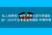 私人局教程！微扑克俱乐部作弊辅助挂！2024平台专用透视辅助-哔哩哔哩