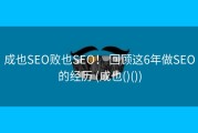 成也SEO败也SEO！ 回顾这6年做SEO的经历 (成也()())
