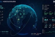 消息可视化整顿 (信息可视化)