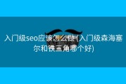 入门级seo应该怎么做 (入门级森海塞尔和铁三角哪个好)