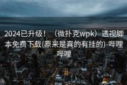 2024已升级！（微扑克wpk）透视脚本免费下载(原来是真的有挂的)-哔哩哔哩