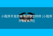 小程序开发的市场前景怎样样 (小程序开发的公司)