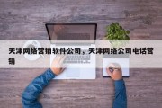 天津网络营销软件公司，天津网络公司电话营销