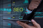SEO极速入门 新手如何正确自学SEO (seo快速入门)