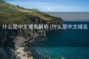 什么是中文域名解析 (什么是中文域名)